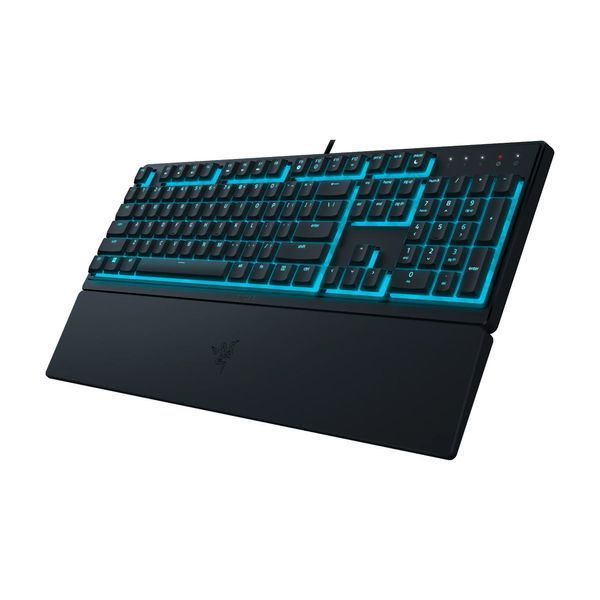 Мембранная клавиатура Razer Ornata V3 X, макет США RZ03-04470100-R3M1 фото