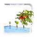 Green Grow hydroponics growing system 3 pods, White PLD1001-WHT foto 3