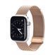 DUX DUCIS Strap Milanese Version Apple Watch 38MM/40MM/41MM, Gold DUDUSMSSAW38MMGL foto 1