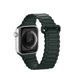 DUX DUCIS Strap Armor Version Apple Watch 42MM/44MM/45MM, Green DUDUSSAAW42MMGR foto 2