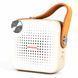 Aiwa Portable Bluetooth Speaker Square BS-100GY BS-100GY foto 3