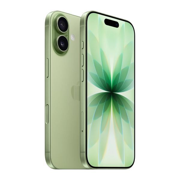 Apple iPhone 17 256GB Sage MG6N4ZD/A foto