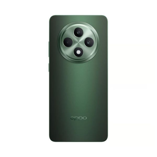 OPPO Reno 12 FS 5G 12/512 ГБ Черный Зеленый CPH2637BG фото